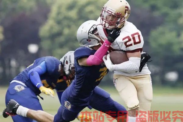 在什么情况下多米体育平台会终止对用户服务？